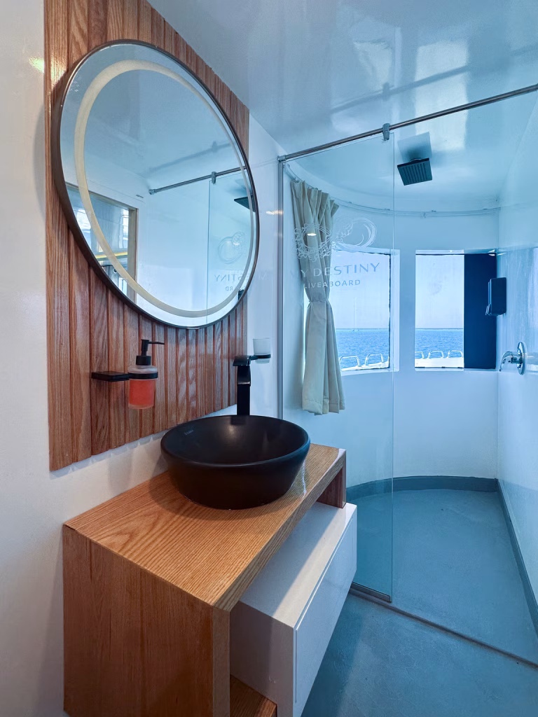 0e065049-cf88-42ef-8571-268882174cd9 (1)