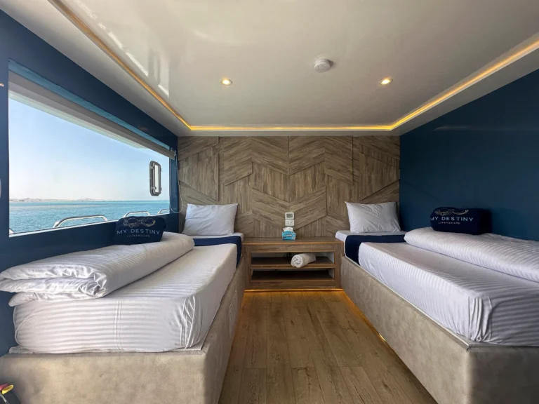 4f9684ac-fafe-47ca-85d8-591db6ab46d8 (1)