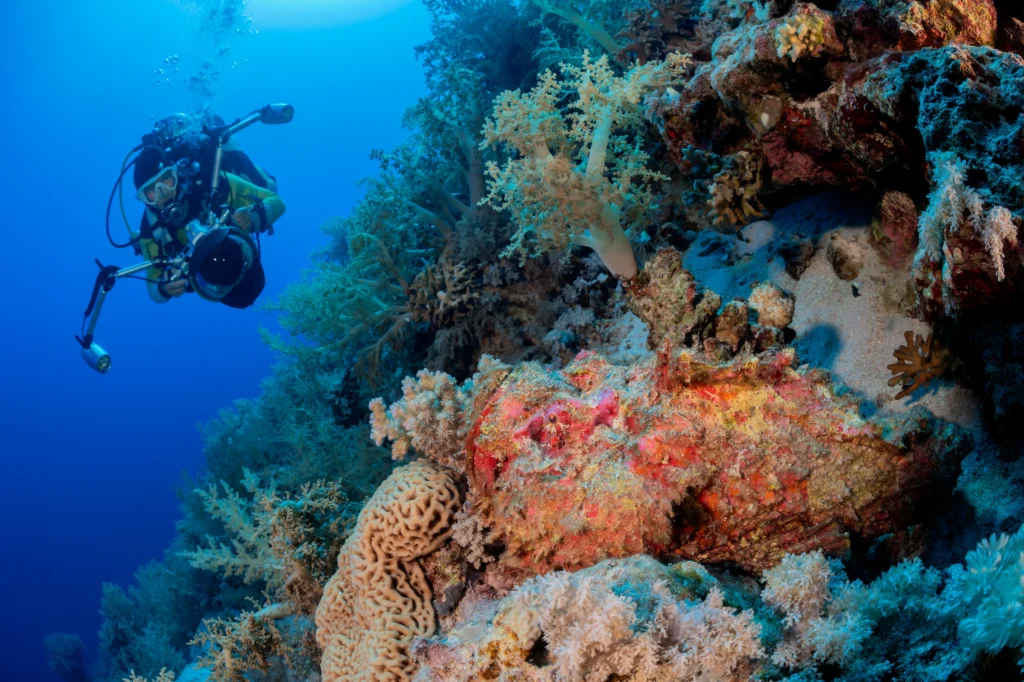 bff8b543-bc5c-429f-832a-df53071dc2f6