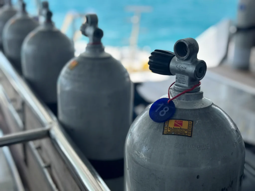 559991f7-563c-4b13-b0bd-9b4a37b0b4c3